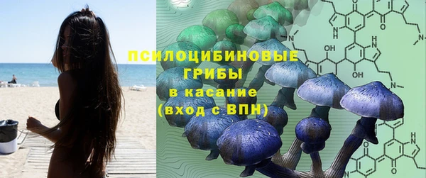прущая мука Абинск