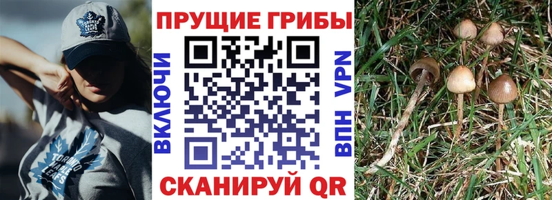 Псилоцибиновые грибы MAGIC MUSHROOMS Новомичуринск